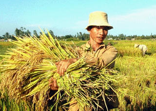 Phí nặng, sức cạnh tranh còn yếu