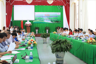 Cần Thơ tập trung phát triển hạ tầng xanh
