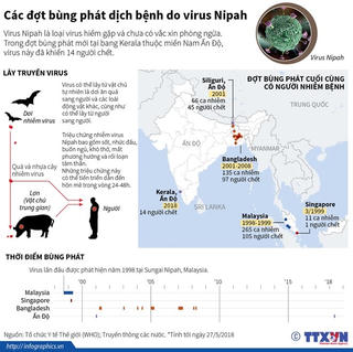 [Infographics] Các đợt bùng phát dịch bệnh do virus Nipah