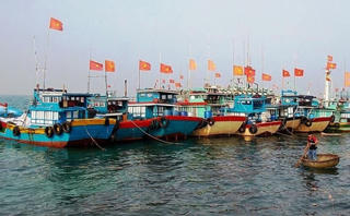 Gần 200 tỷ đồng xây cảng trên huyện đảo Lý Sơn