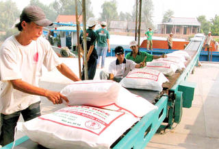 Làm thương hiệu cho hạt gạo