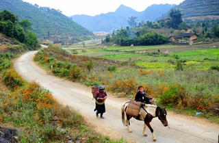 Chợ đêm miền Cao nguyên đá