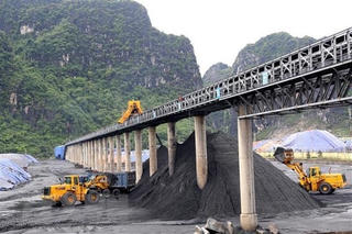 Phê duyệt Danh mục doanh nghiệp có vốn nhà nước thực hiện thoái vốn