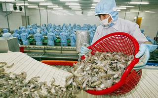 Kỳ vọng những mốc son mới