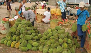 Đừng chỉ đổ lỗi cho nông dân