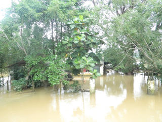 Triển khai công tác ứng phó mưa, lũ ở Quảng Ngãi