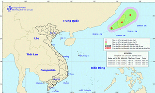 Áp thấp nhiệt đới gây mưa dông mạnh trên khu vực Bắc Biển Đông