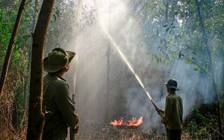 Chặn điểm nóng cháy rừng