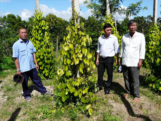 Đắk Lắk: Dân lo âu vì tiêu chết sau lũ