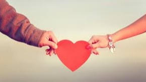 Ngoài hoa hồng, những loài hoa nào có thể tặng trong ngày Valentine?