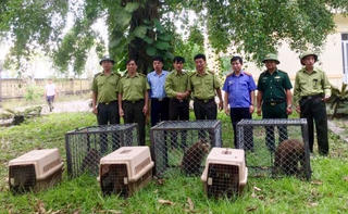 Vườn quốc gia Vũ Quang: Gìn giữ sự đa dạng sinh học