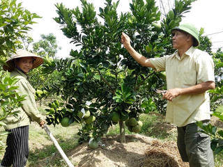 Đồng thuận - kinh nghiệm nhìn từ Thọ Trường