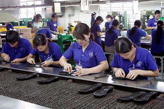FTA Việt Nam – Liên minh Kinh tế Á-Âu:  53% dòng thuế về 0