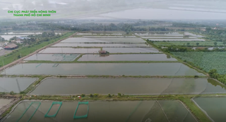 Các mô hình liên kết sản xuất có hiệu quả trên địa bàn Thành phố Hồ Chí Minh