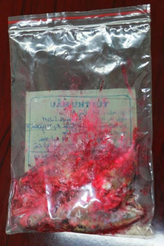 Cá chuyển màu đỏ sau một đêm là do vi khuẩn Serratia marcescens