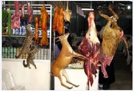 Bắt giữ 2 vụ kinh doanh thịt thú rừng trái phép