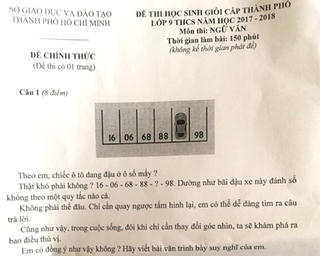 Đề thi học sinh giỏi môn Ngữ văn có câu hỏi Toán học