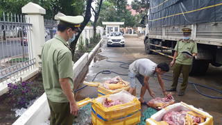 Chở 3 tạ thịt lợn thối từ Quảng Nam vào Đắk Lắk tiêu thụ