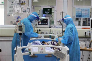 Hợp tác thử nghiệm lâm sàng giai đoạn 3 và chuyển giao công nghệ sản xuất kháng thể đa dòng XAV-19 điều trị Covid-19 