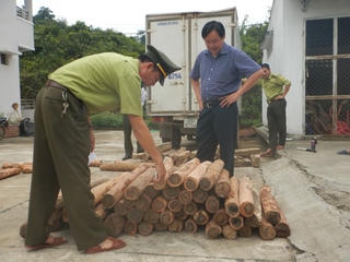 Vận chuyển trái phép 100 khúc gỗ hương giáng