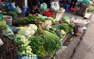 Giá thực phẩm rau xanh trở lại ổn định sau Tết