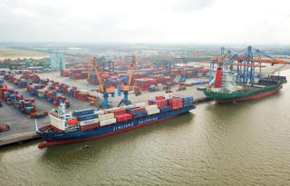 Thiếu container, cước vận tải tăng