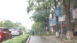 Nghệ An còn gần 100 lao động trên biển chưa vào bờ