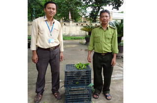 Người dân bàn giao một cá thể Voọc chà vá chân nâu quý hiếm