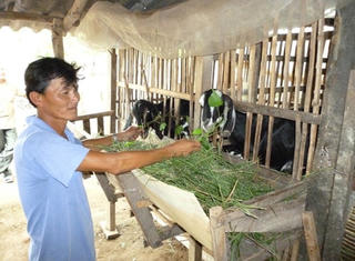 Thạnh Phú (Bến Tre): Nỗ lực giảm nghèo bền vững