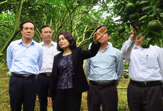 Thay đổi tư duy của người nông dân trong sản xuất