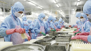 Nhà máy chế biến nông thủy sản 'đói' nguyên liệu