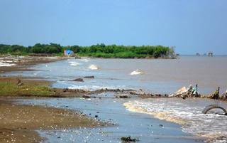 Mong manh rừng phòng hộ