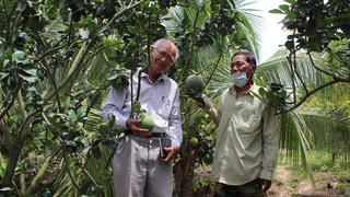 Nông thôn mới ở Đồng Tháp Mười