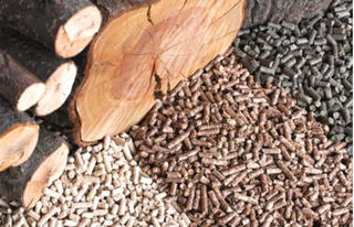 Tro xỉ từ đốt củi gỗ được phân loại là chất thải gì?