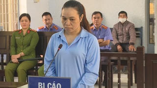 13 năm tù về tội lừa đảo chiếm đoạt tài sản