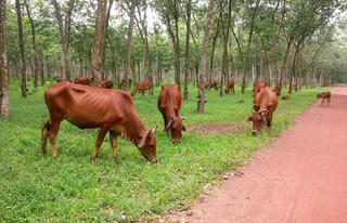 Đắk Lắk  Những đổi thay tích cực
