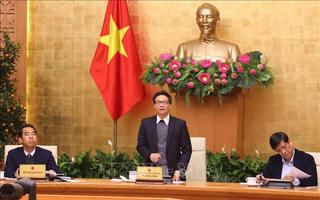 Phó Thủ tướng Vũ Đức Đam: 'Rút giấy phép các hiệu thuốc tăng giá khẩu trang, thiết bị y tế'