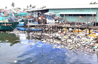 Ngăn chặn rác thải nhựa - Bài 1: Đe dọa môi trường biển