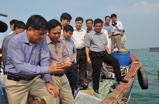 Huyện đảo Cô Tô đạt tiêu chí huyện nông thôn mới