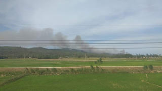 Thanh Hóa: Điều tra nguyên nhân dẫn tới vụ cháy rừng 