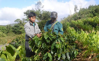 Bước 'đột phá' ở một huyện nghèo