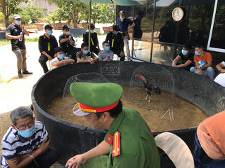 Bắt quả tang 47 đối tượng đang say sưa sát phạt tại sới gà