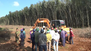 Ngang nhiên chặt phá, mua bán vườn cà phê nhận khoán