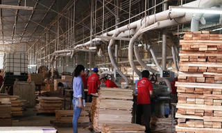 Cần chấm dứt độc quyền cung cấp nguyên liệu gỗ cao su