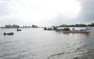 Miền Tây lũ về sớm