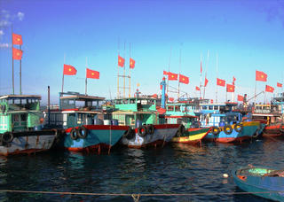 Lý Sơn (Quảng Ngãi) khai thác thủy hải sản đạt gần 32.000 tấn