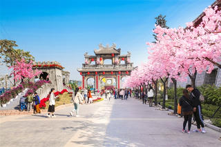 Lễ hội Kỳ quan muôn sắc hoa Hạ Long đẹp lạ khi phố biển lên đèn