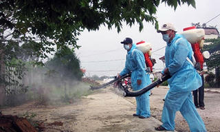 Chủ động giám sát, xử lý dịch bệnh do virus Zika