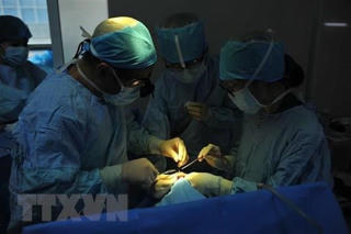 Vi phẫu nối thành công ngón tay cái đứt rời cho bệnh nhân lớn tuổi