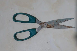 Nghệ An: Học sinh lớp 8 dùng kéo đâm tử vong học sinh lớp 5